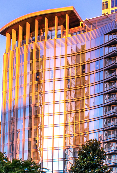 Photo of the Charlotte Skyline from Romare Bearden Park.